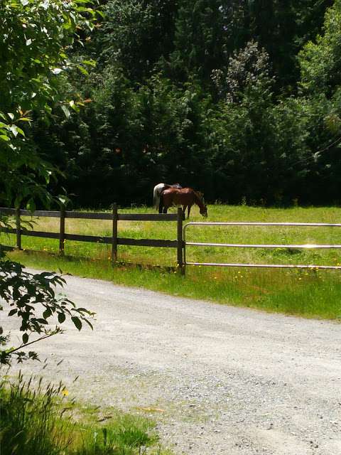 Valour Farms Equestrian Ctr